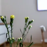 Violetos Lux Apartamentai2 دروسكينينكاي