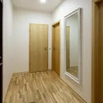 Апартаменты Violetos Lux Apartamentai2 Друскининкай