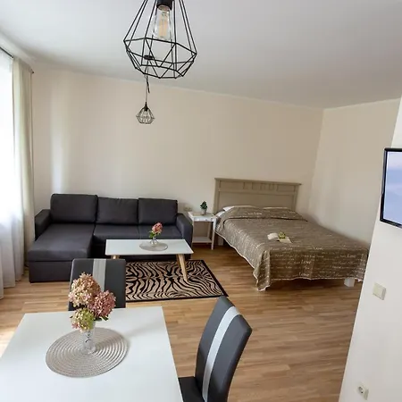 Violetos Lux Apartamentai2 Druskininkai