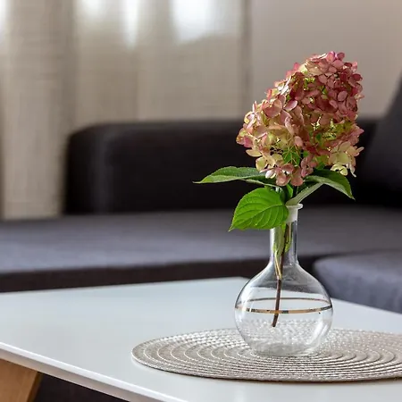 Violetos Lux Apartamentai2 *