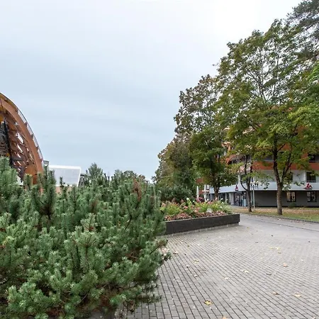 Violetos Lux Apartamentai2 Druskininkai