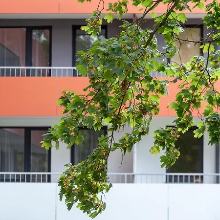 Violetos Lux Apartamentai2 Друскининкай