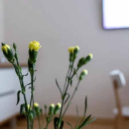 Violetos Lux Apartamentai2 Друскининкай