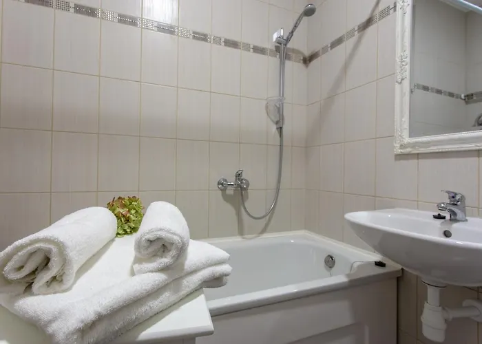 Violetos Lux Apartamentai2 Druskieniki