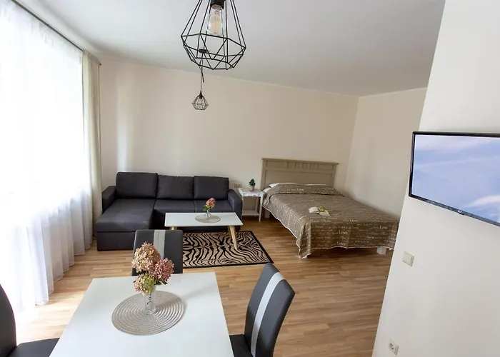 Violetos Lux Apartamentai2 Druskieniki