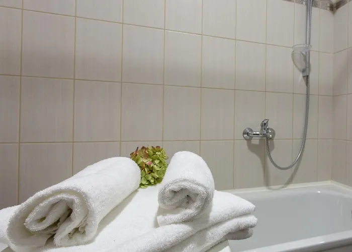 Apartament Violetos Lux Apartamentai2 Druskieniki