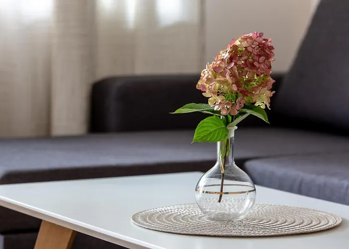 Violetos Lux Apartamentai2 *