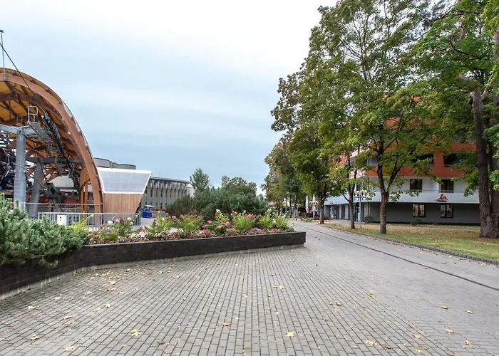 Violetos Lux Apartamentai2 * Druskieniki