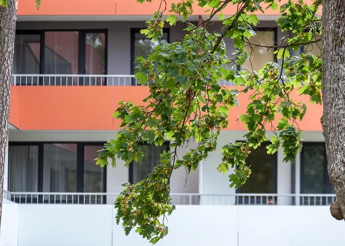 Violetos Lux Apartamentai2 ドルスキニンカイ