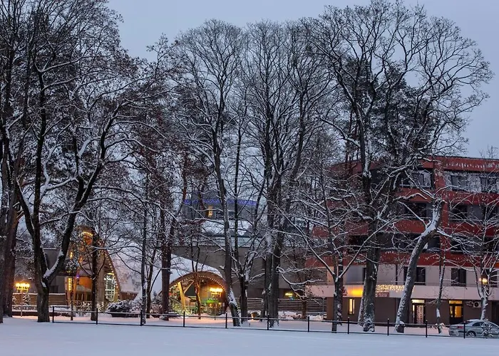 Violetos Lux Apartamentai2