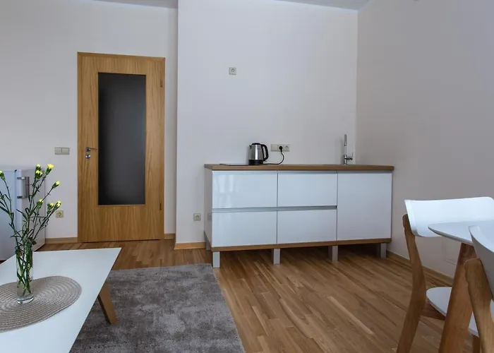 Violetos Lux Apartamentai2 ドルスキニンカイ