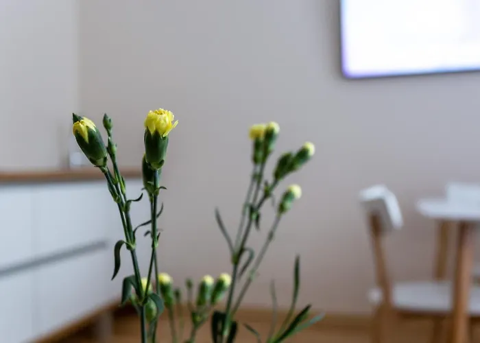 Violetos Lux Apartamentai2 Druskieniki