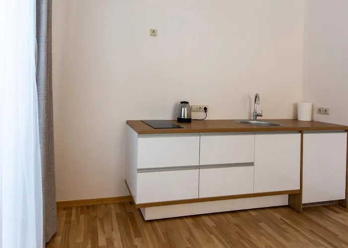 Violetos Lux Apartamentai2 Apartament Druskieniki