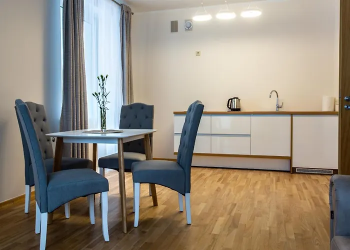 Violetos Lux Apartamentai2 Druskieniki