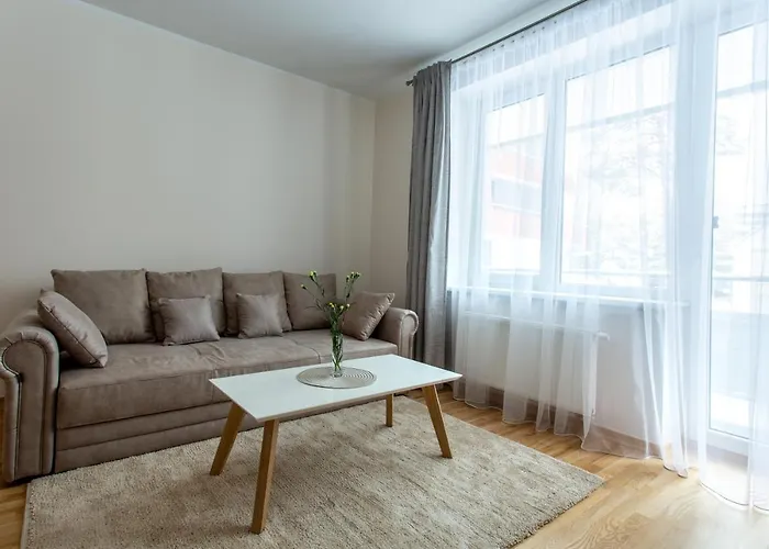 Apartament Violetos Lux Apartamentai2 Druskieniki