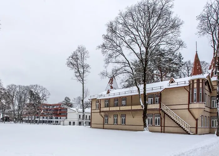 Violetos Lux Apartamentai2 Druskieniki